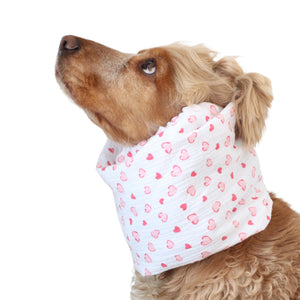 White dog snood with pink heart print for Spaniel, Cavalier, Basset Hound and Poodle