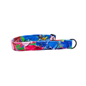 Colorful floral-patterned dog collar on a white background