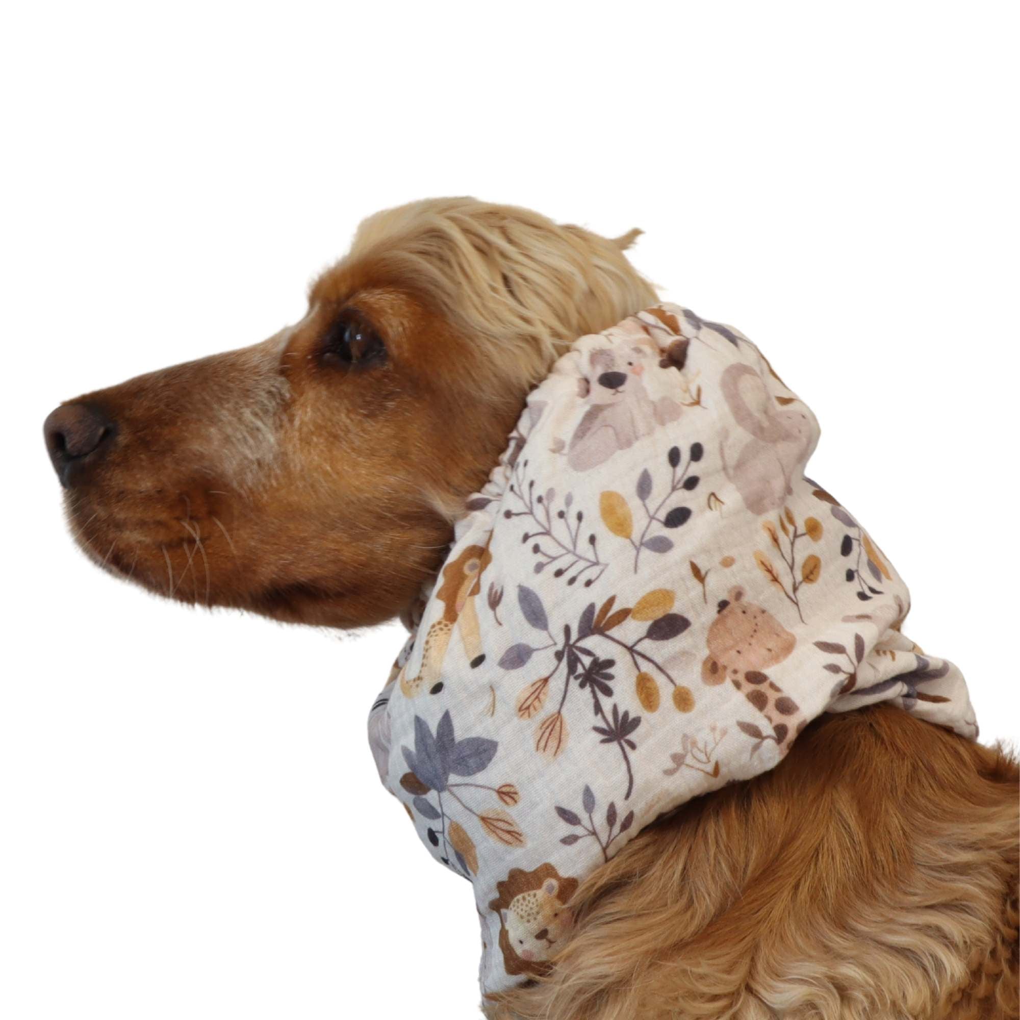 Cocker wearing beige muslin dog snood with woodland animals print – Forest Friends by Distinguish Me