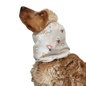 funky dog snood Birds Distinguish me