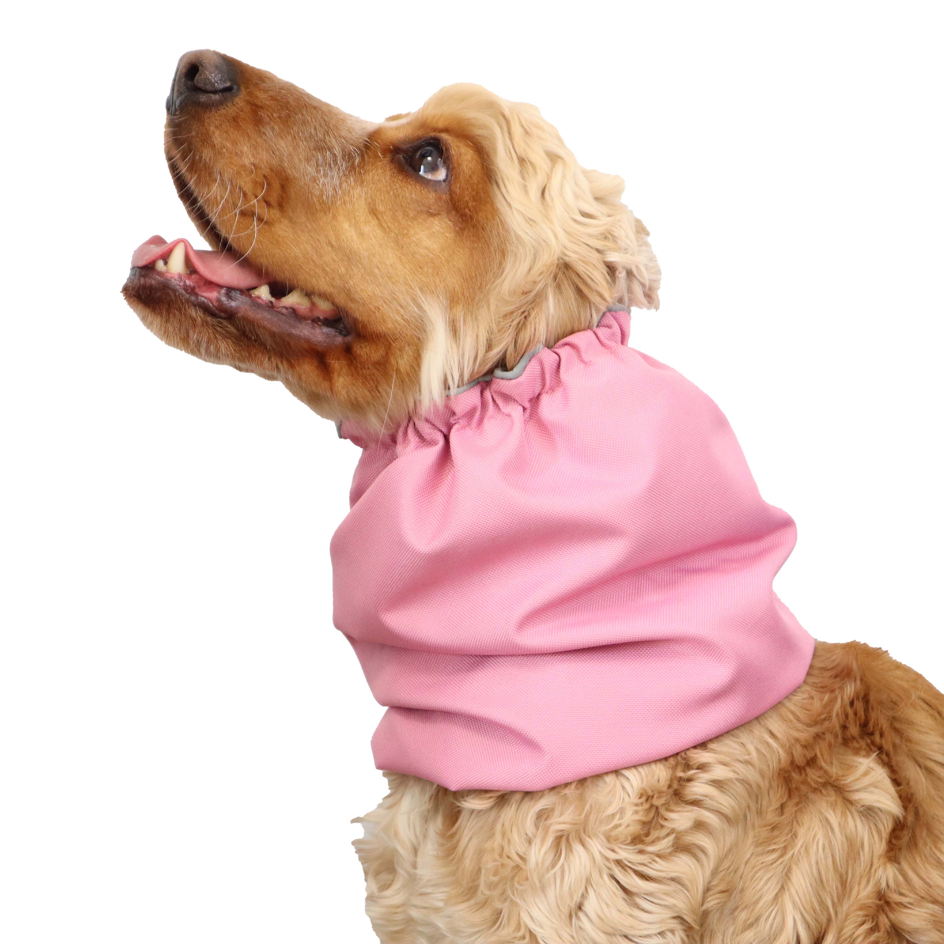 Pastel Pink Dog Snood Distinguish Me