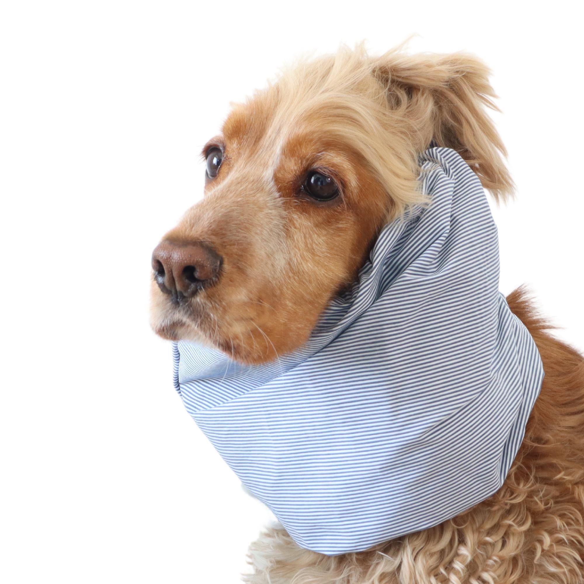 Lightweight cotton feeding snood in blue pinstripes pattern worn by a Cocker Spaniel