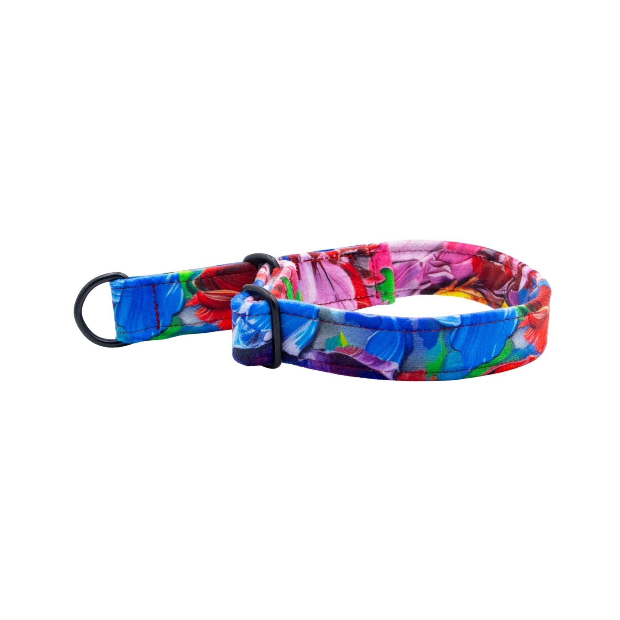 Colorful dog collar with floral pattern on a white background