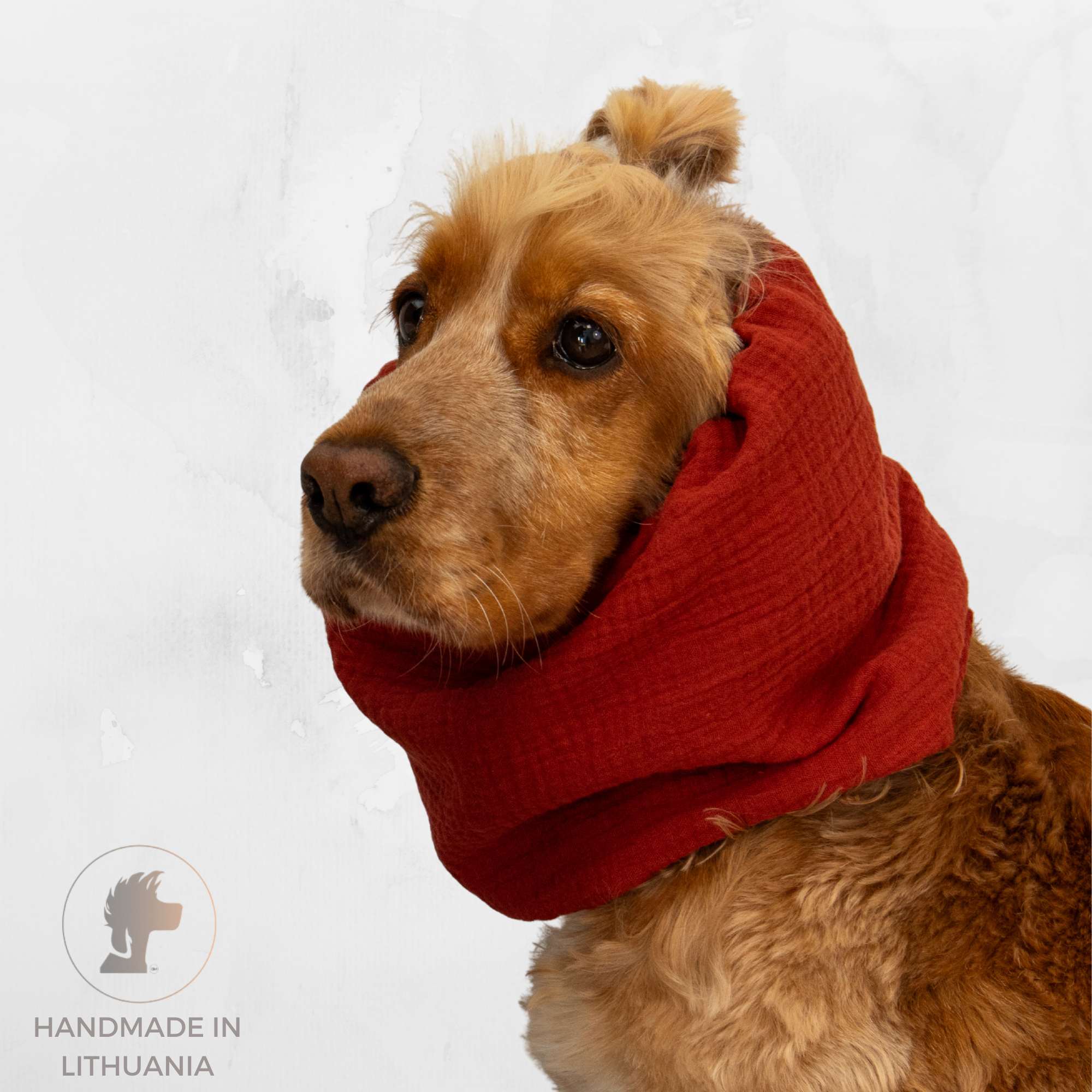 Dog with summer snood by Distinguish me