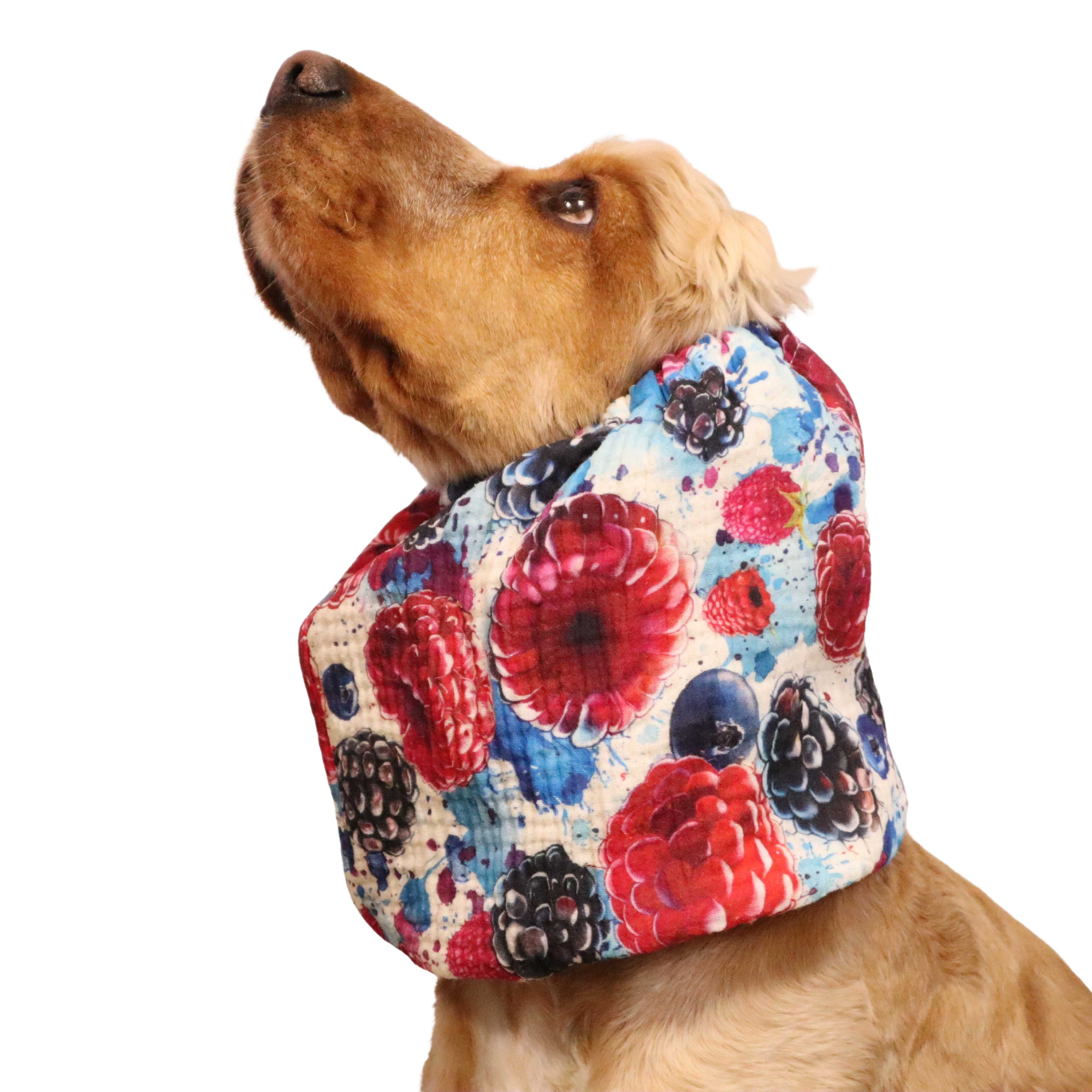 Cotton (Muslin) Dog Snood | Tuti-Fruti