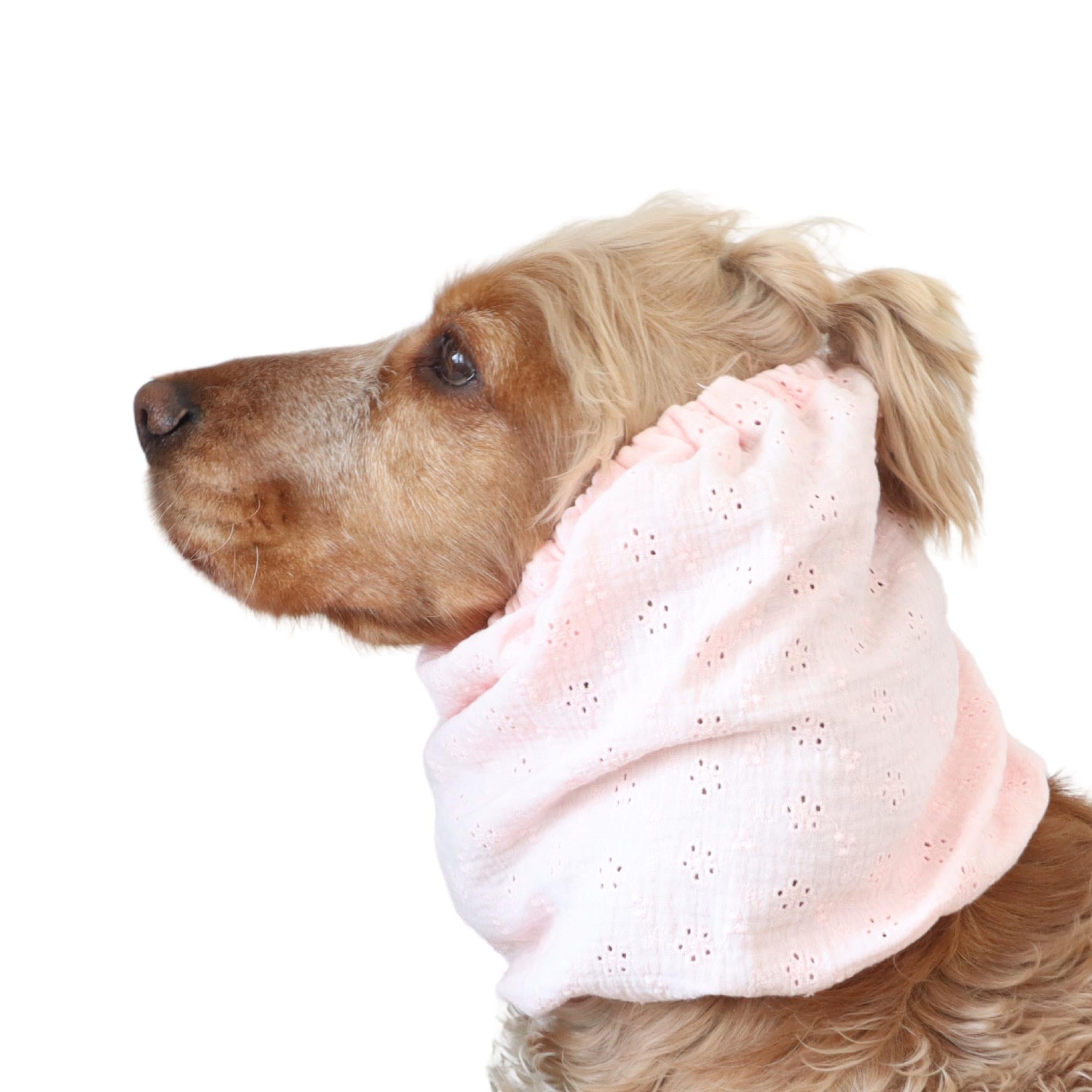 Long eared dog wearing a handmade Rose Mist snood by Distinguish Me