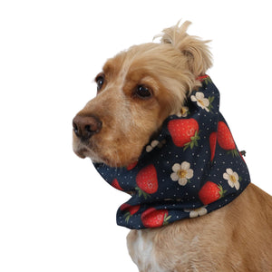 Waterproof dog snood with a strawberry and white flower print on a dark navy background, worn by a dog as an ear cover for long-eared breeds.