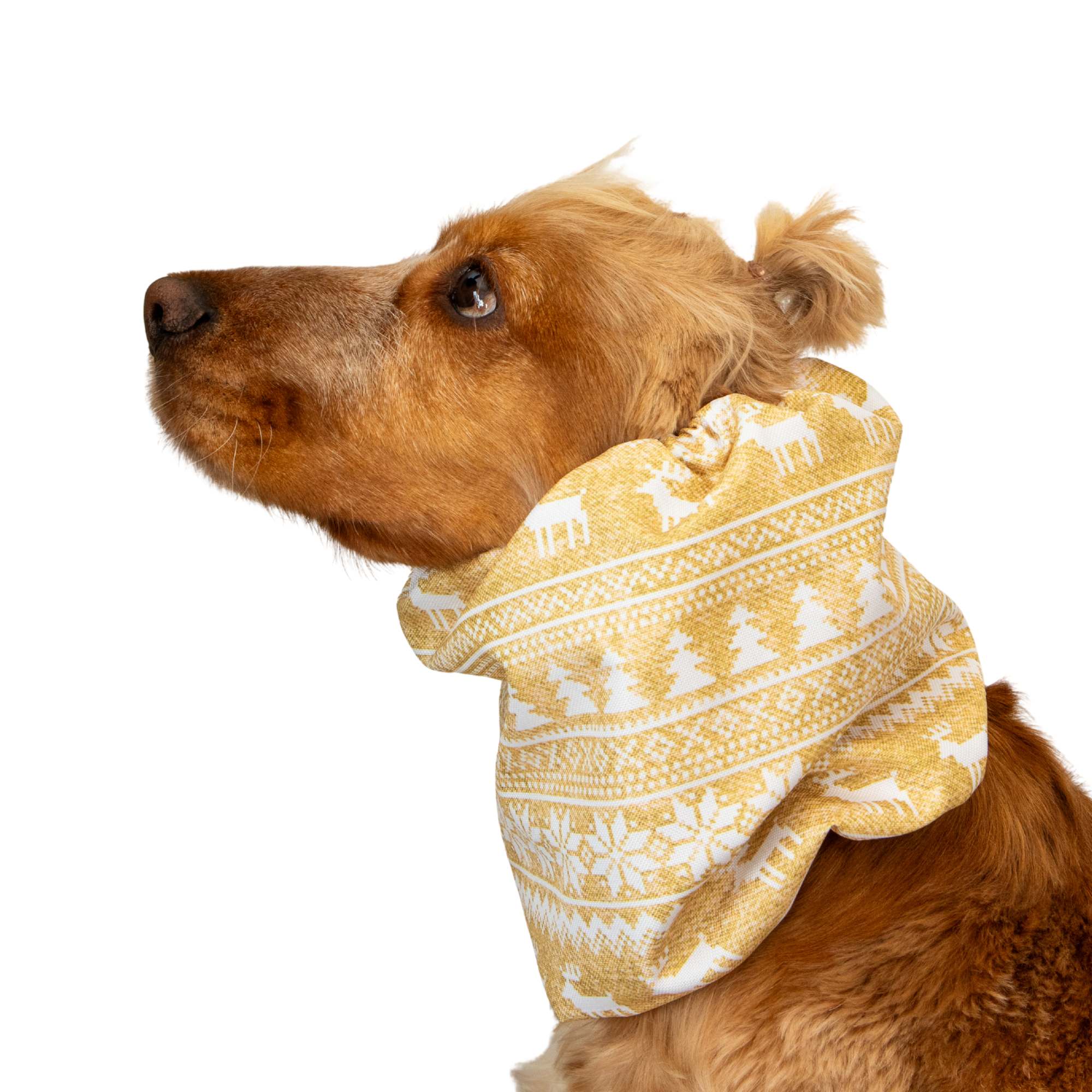 Waterproof Dog Snood | Golden Reindeer