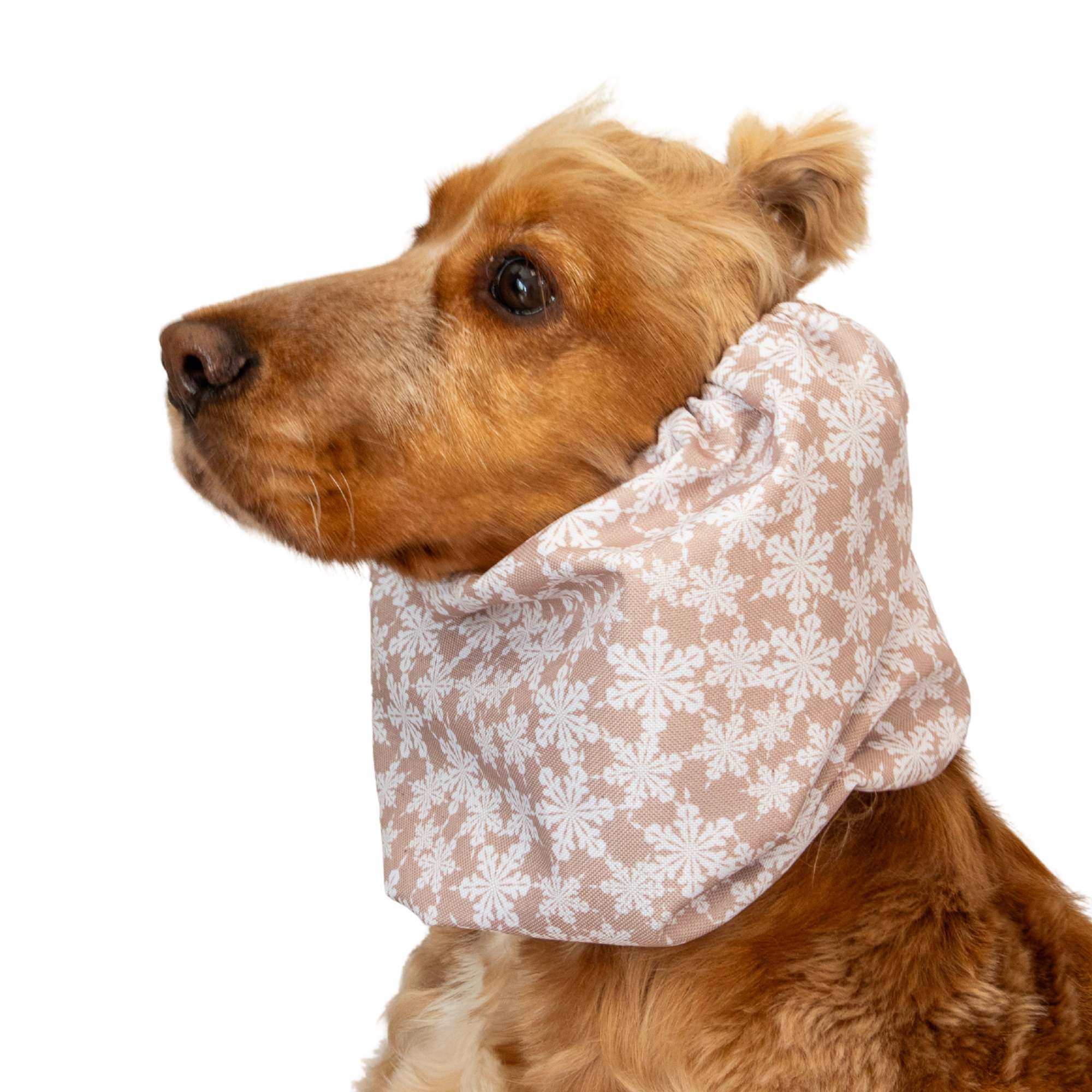 Waterproof Dog Snood | Winter Latte