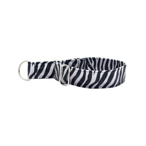 Zebra velour dog collar in black and white stripes, handmade luxury pet accessory by Distinguish Me