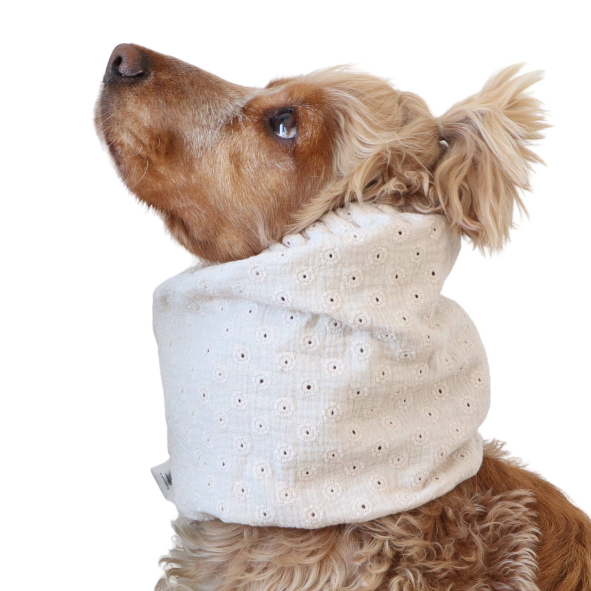 Long eared dog wearing a handmade Soft Ivory summer snood by Distinguish Me