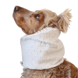 Long eared dog wearing a handmade Soft Ivory summer snood by Distinguish Me