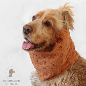 Cocker Spaniel wearing a copper blossom muslin dog snood for feeding and summer walks