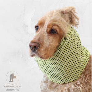 sparkling dog snood
