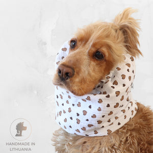 Cocker Spaniel wearing a latte hearts muslin dog snood for feeding and summer walks