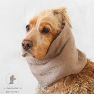 Cocker Spaniel wearing a latte beige muslin dog snood for feeding and summer walks