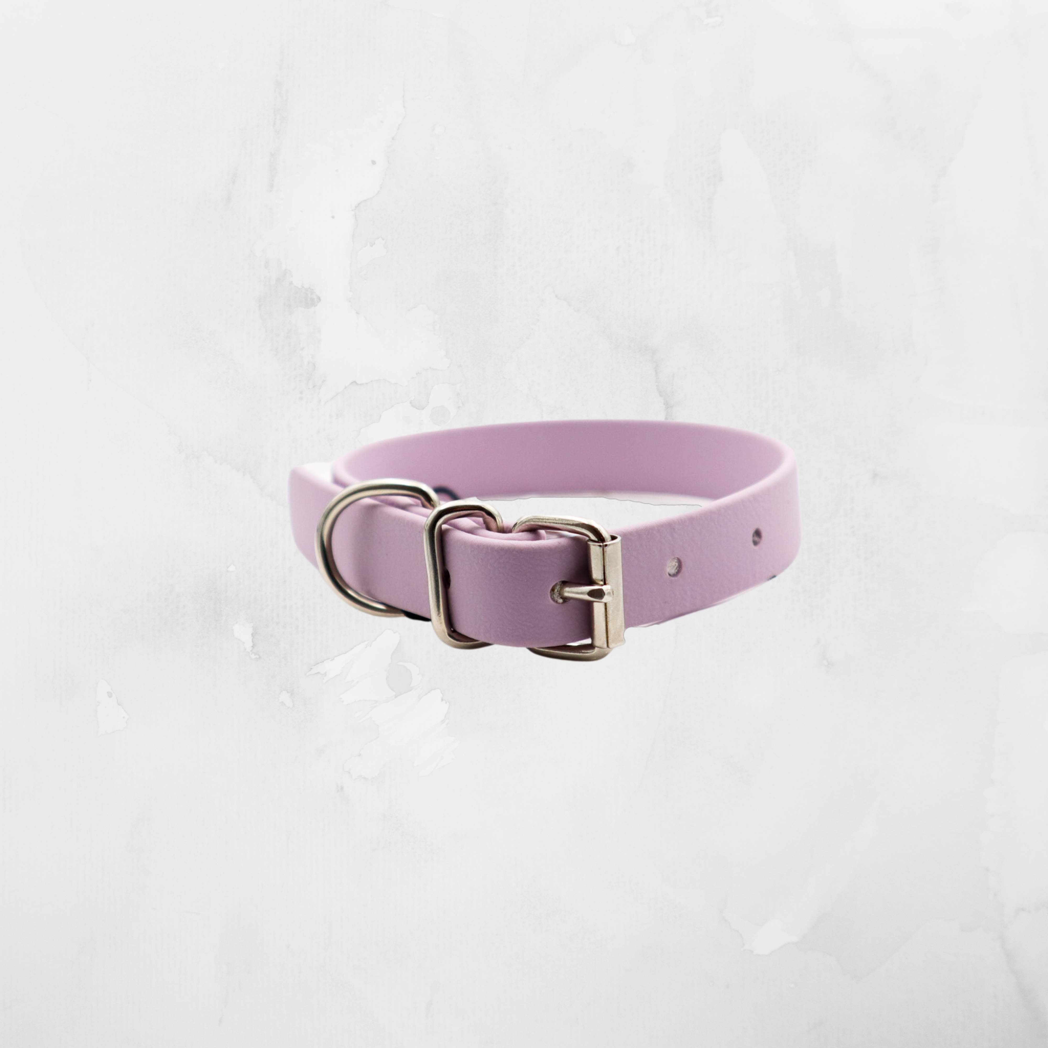 Soft lavender biothane dog collar with a silver  buckle and matching loop, set against a white textured backdrop Distinguish Me