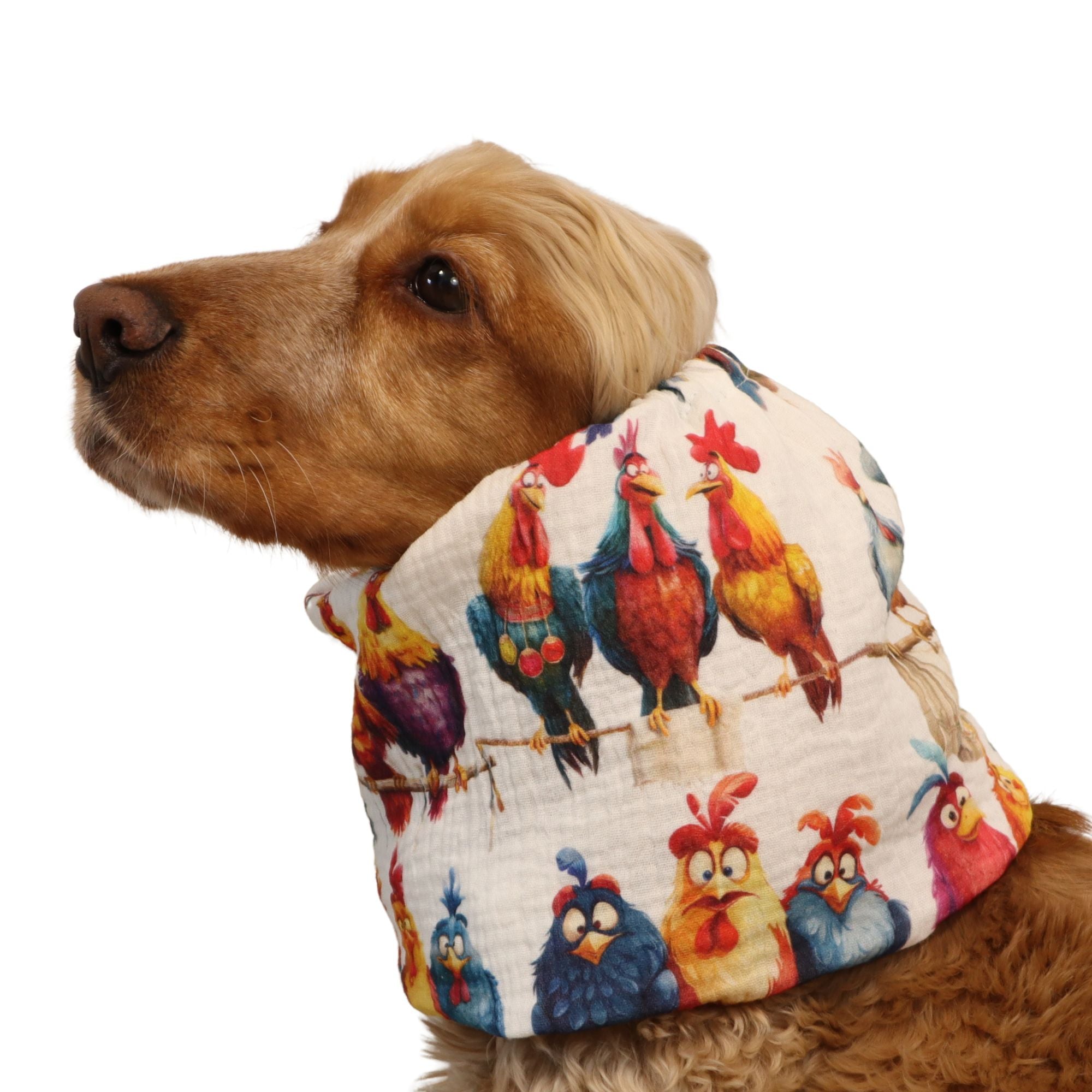 Cotton (Muslin) Dog Snood | Crazy Birds