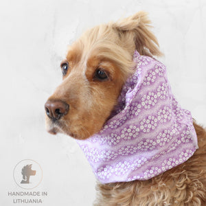 Cocker Spaniel wearing a lilac cotton dog snood with tiny floral print for feeding and daily walks
