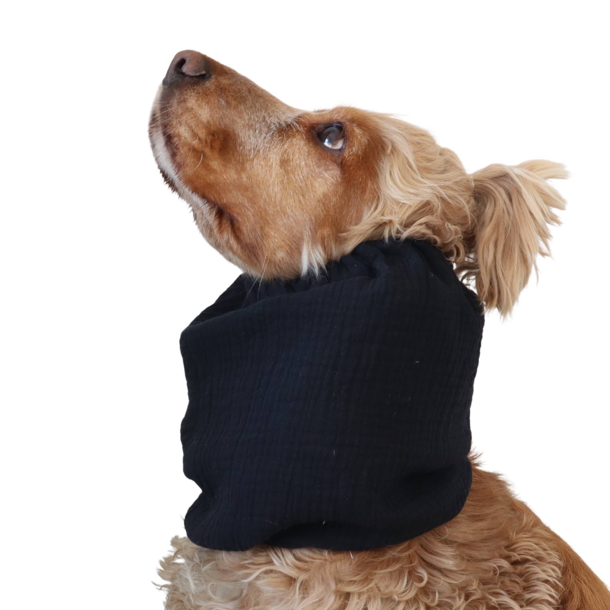 Long eared dog wearing a handmade black summer snood by Distinguish Me