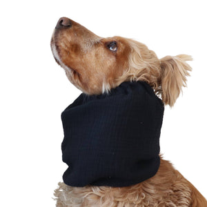 Long eared dog wearing a handmade black summer snood by Distinguish Me
