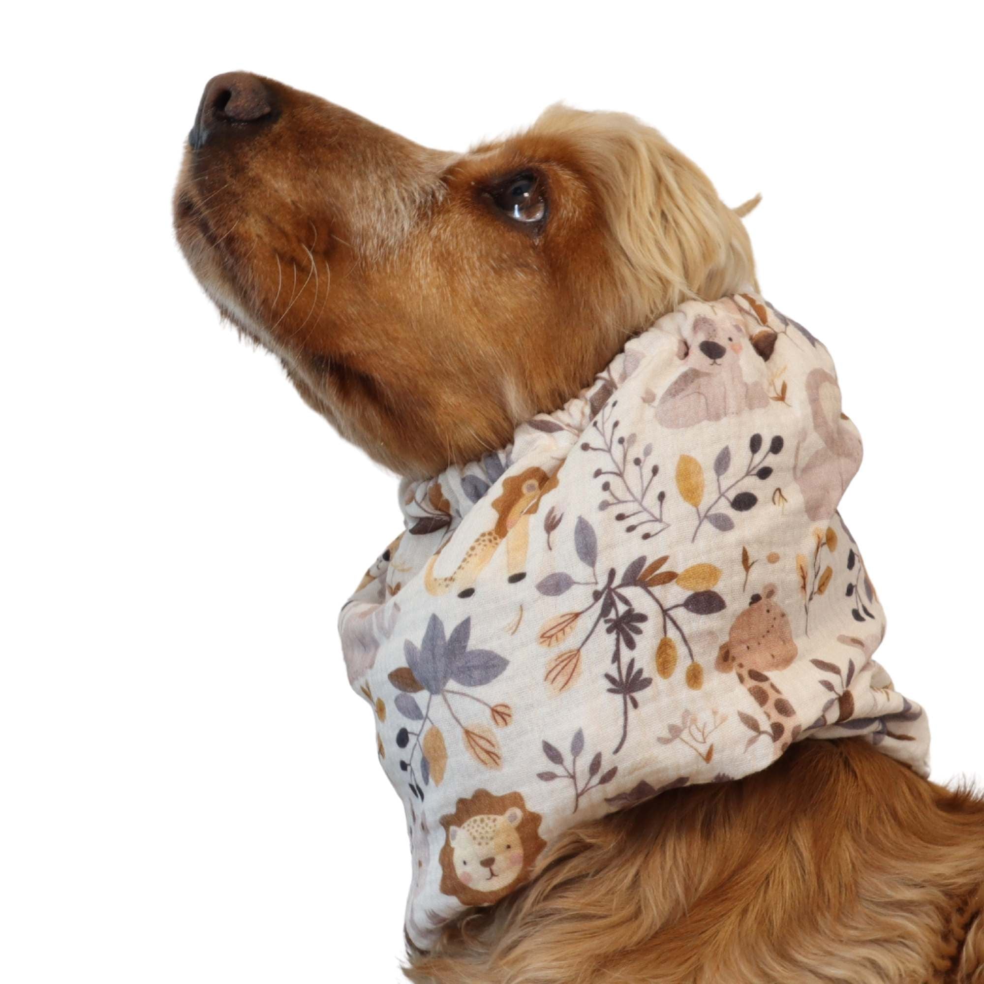 Cocker spaniel wearing beige muslin dog snood with woodland animals print – Forest Friends by Distinguish Me