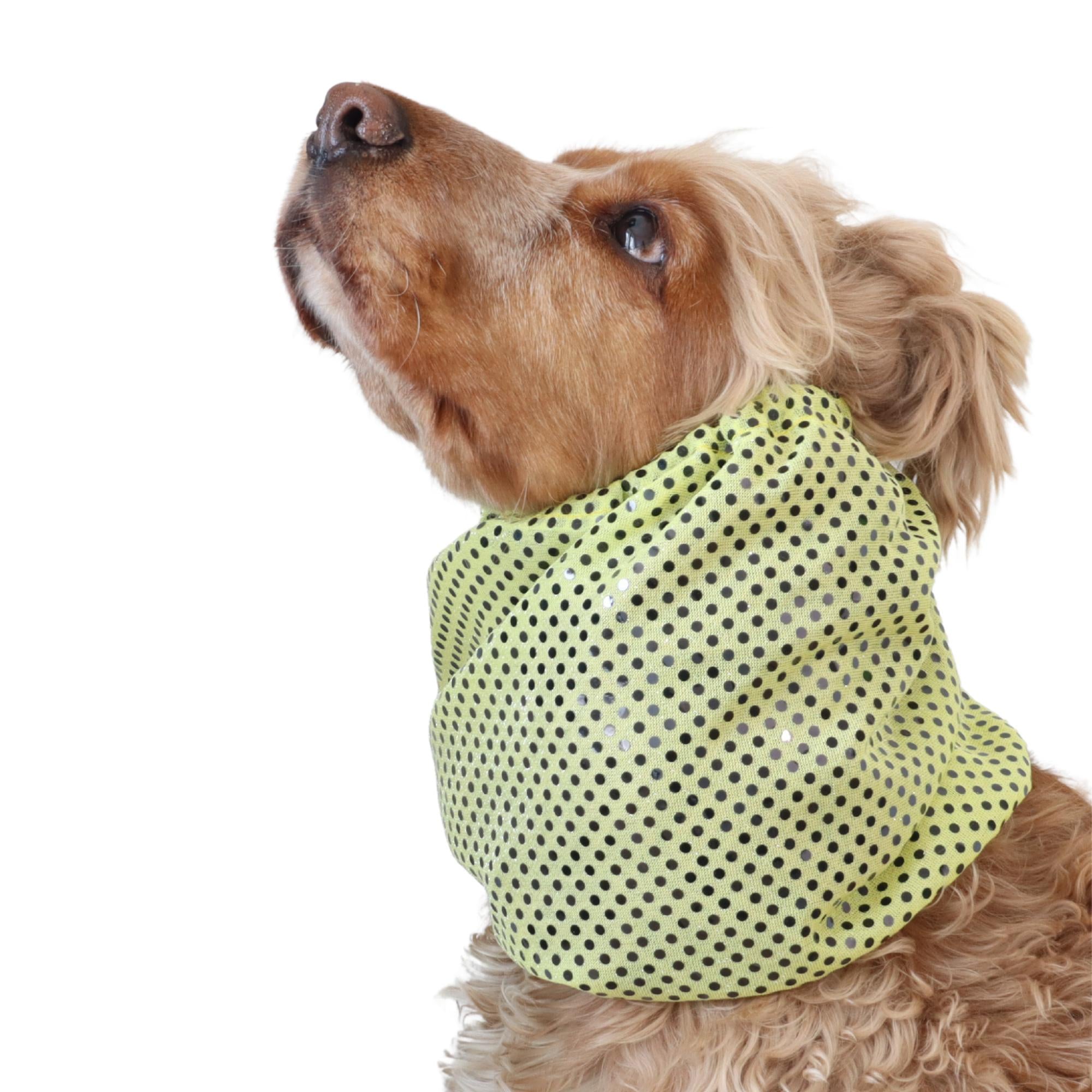 sparkling dog snood