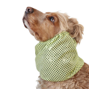 sparkling dog snood