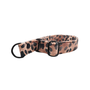 Limited slip velour dog collar with animal print – Distinguish Me