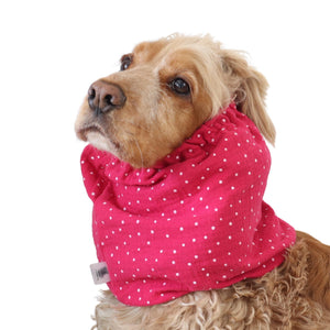 Lightweight cotton feeding snood in Berry Dots print worn by a Cocker Spaniel