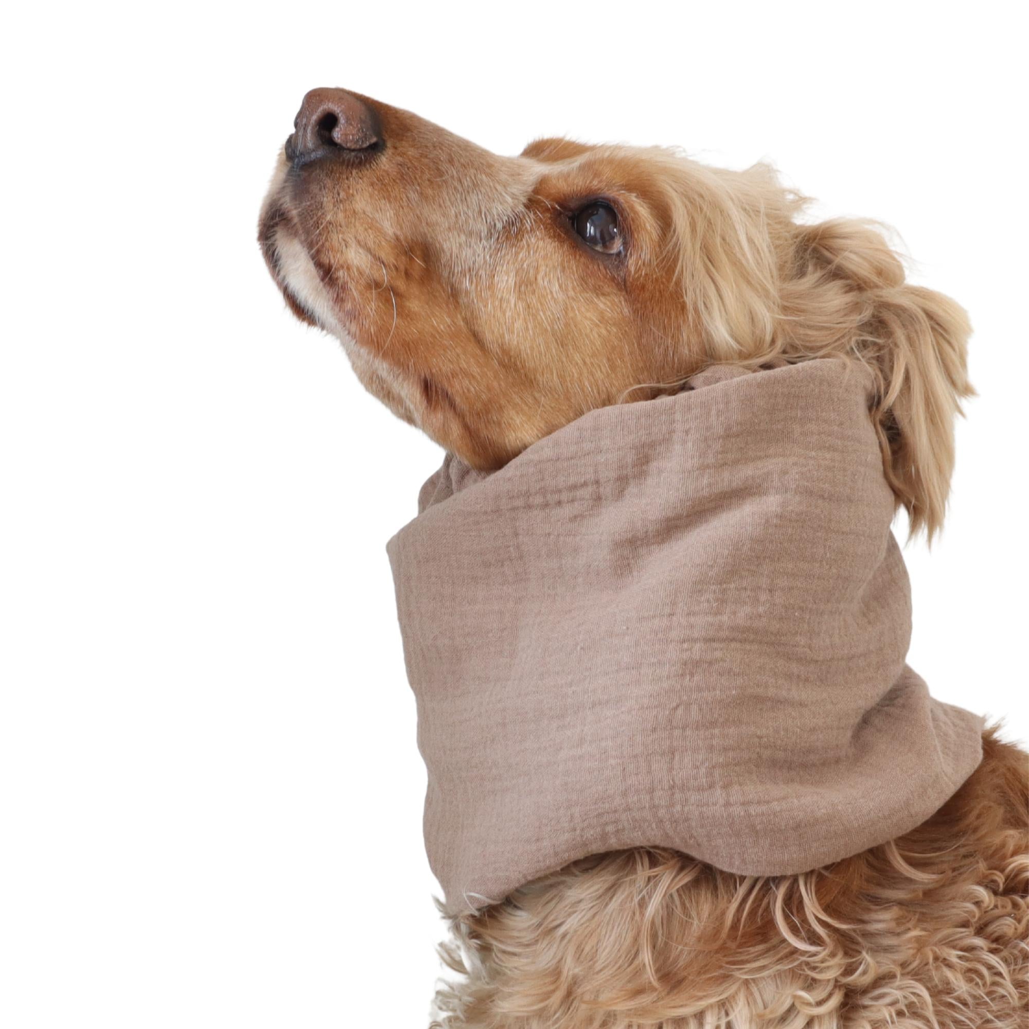 Long eared dog wearing a handmade Latte Beige snood by Distinguish Me