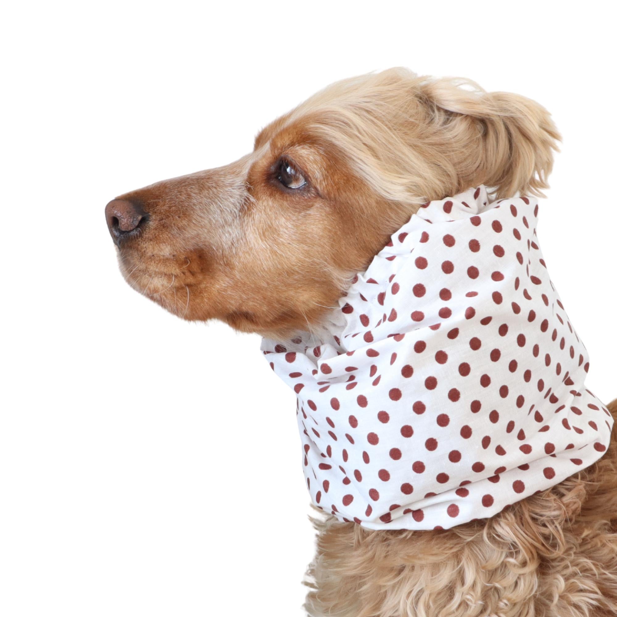 Long eared dog wearing a handmade Mocha Dots summer snood by Distinguish Me