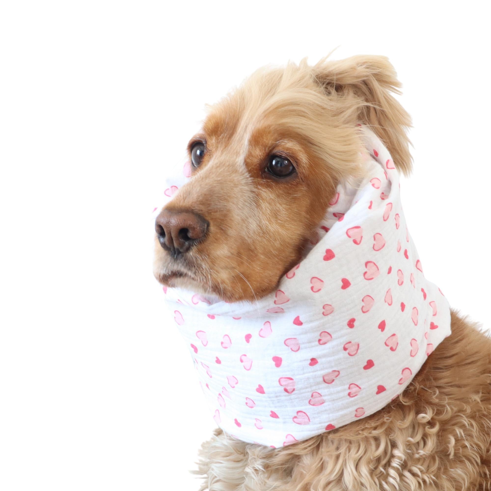 Lightweight cotton feeding snood in pink hearts pattern worn by a Cocker Spaniel