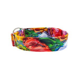 Colorful floral-patterned dog collar on a white background