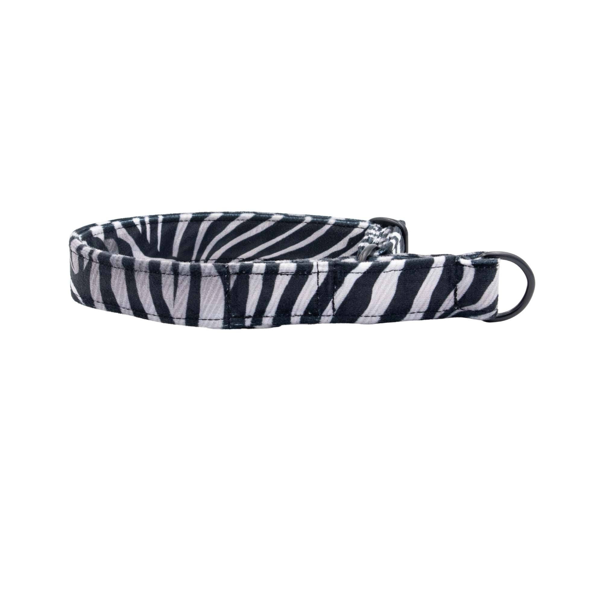 Black and white striped dog collar on a white background