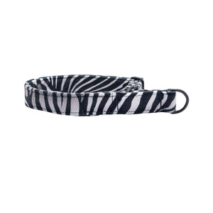 Black and white striped dog collar on a white background