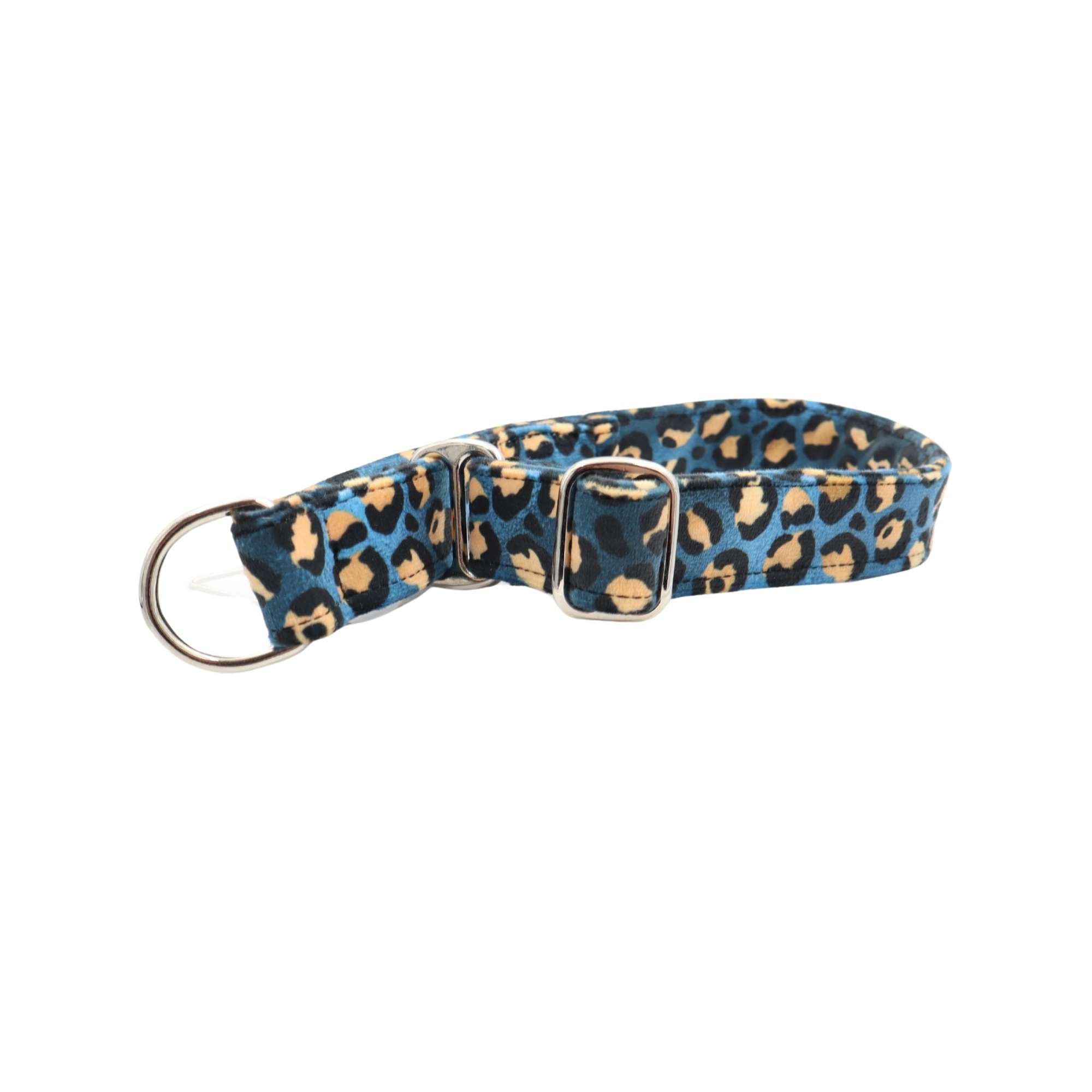 Luxury martingale-style dog collar in blue leopard velour – Distinguish Me brand