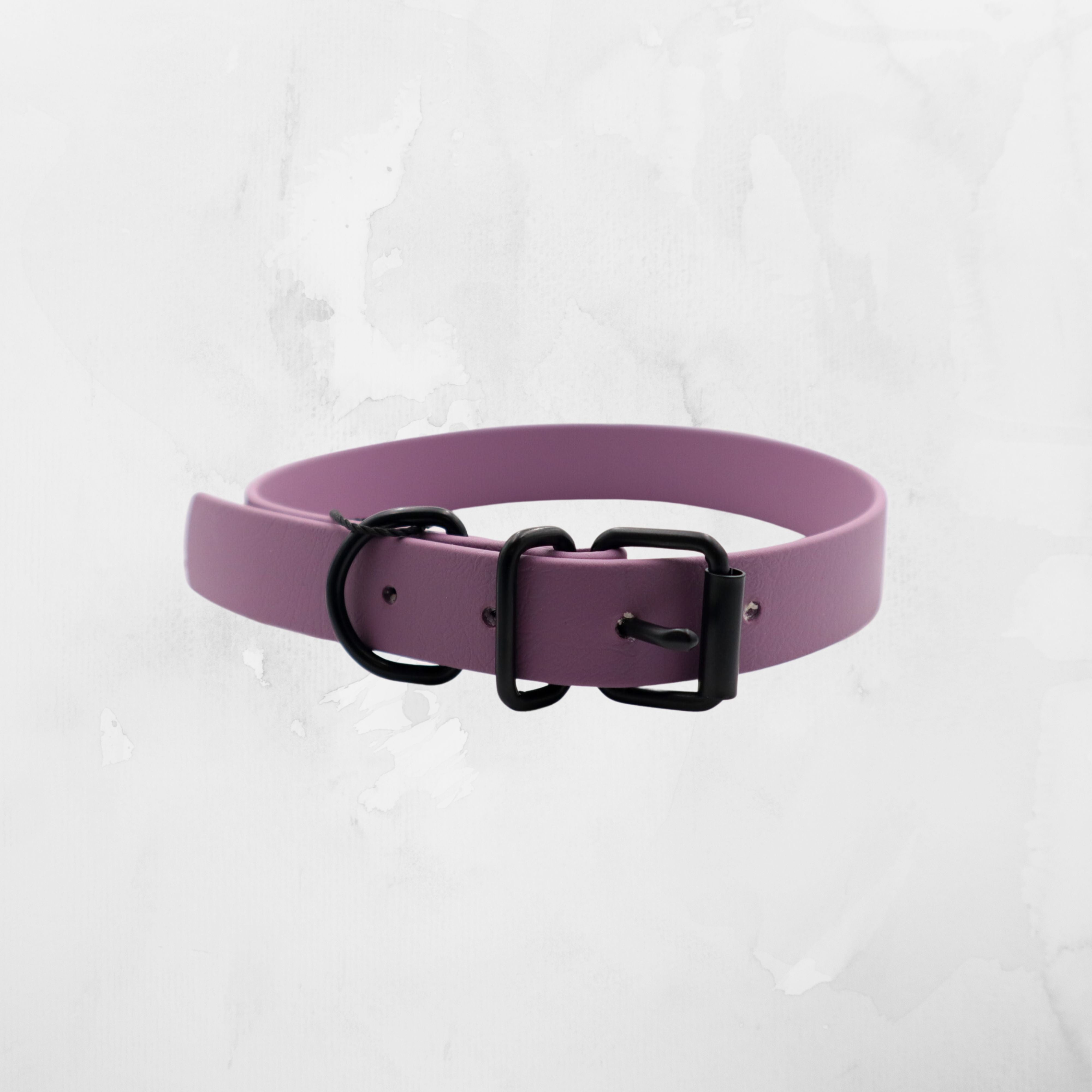 Mauve biothane dog collar with black buckle against a white textured backdrop Distinguish Me