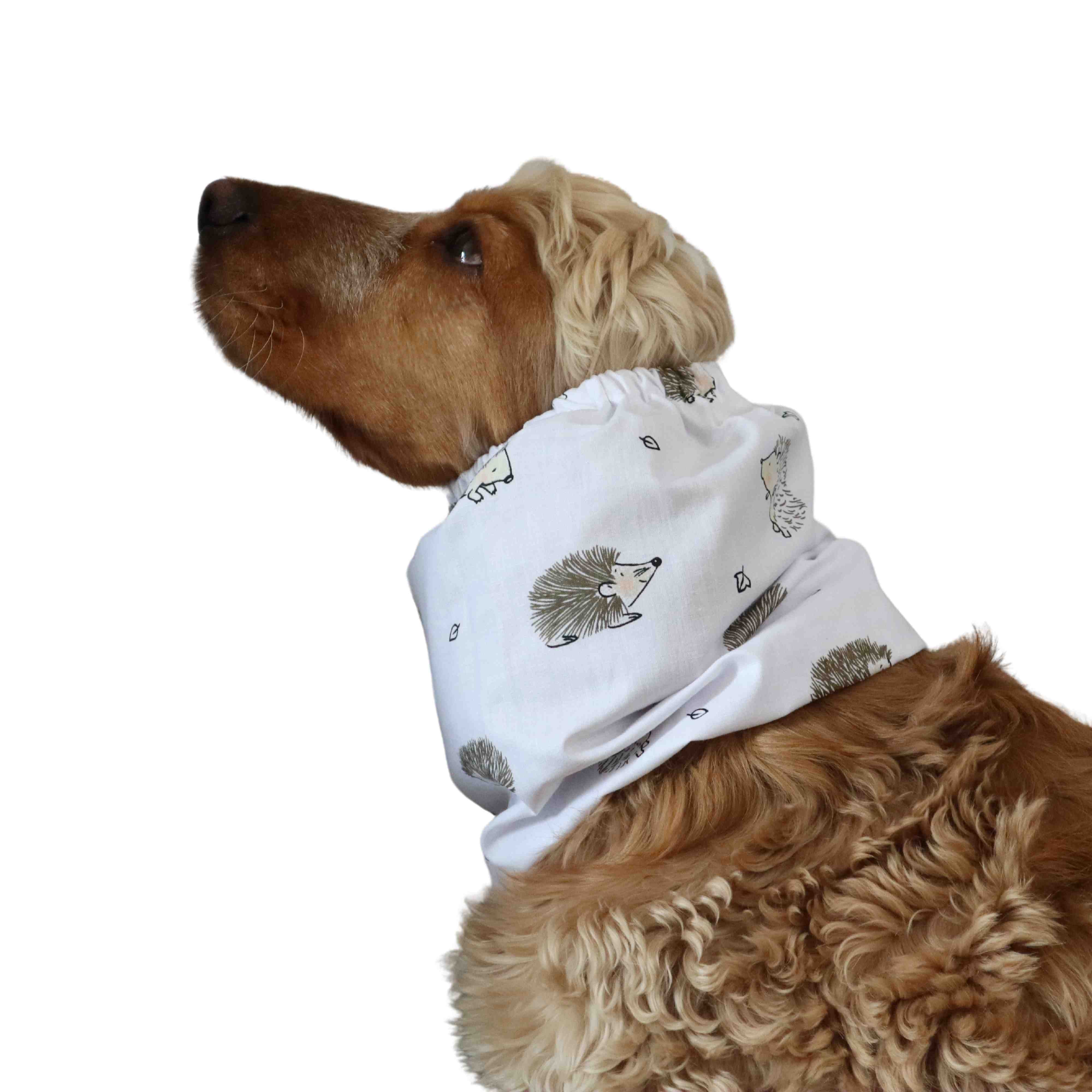 Summer dog snood for spaniel by Distinguish me