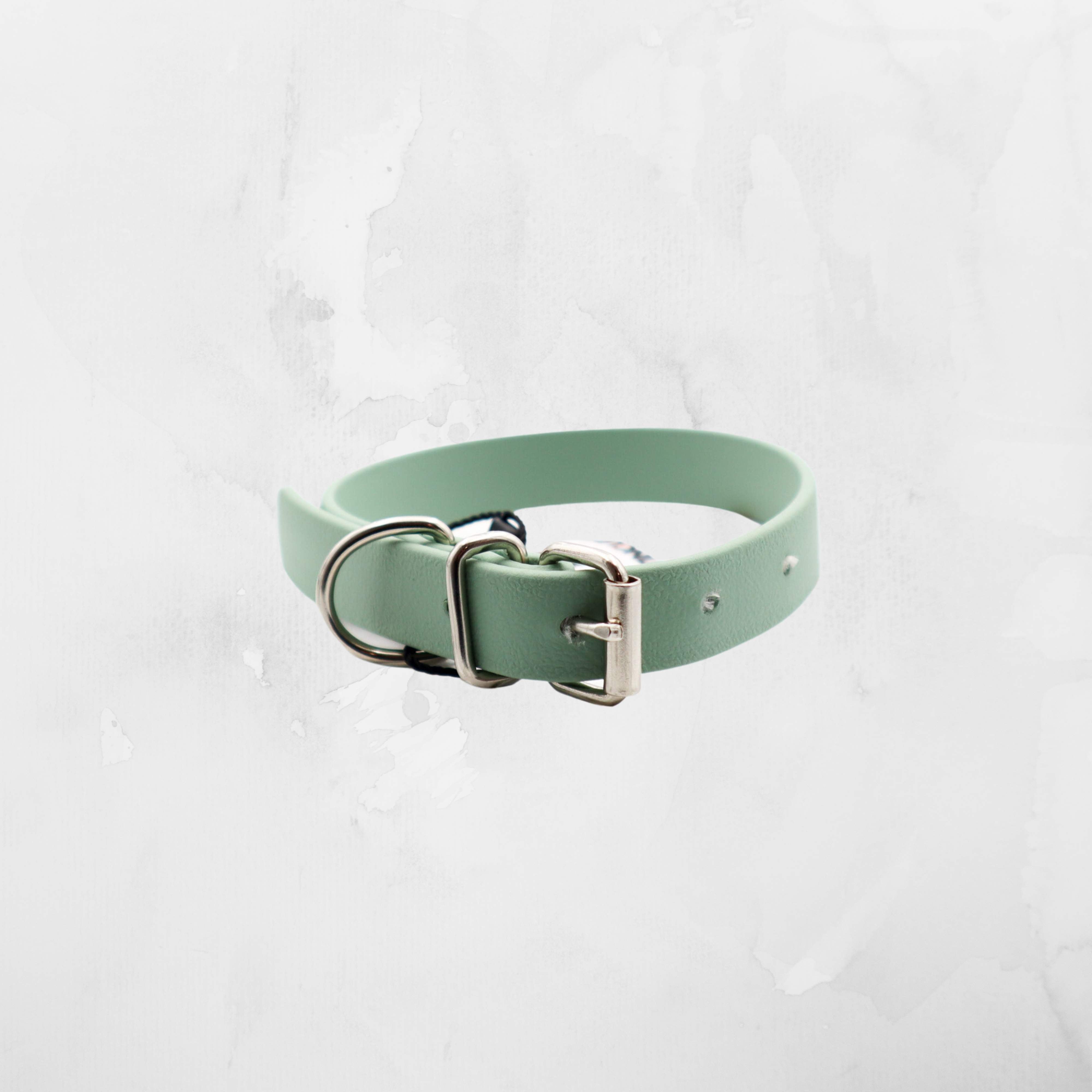 Artisanal mint green dog collar with a silver double-loop buckle, presented against a white textured background from Distinguish Me