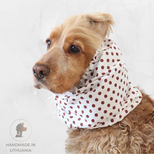 Cocker Spaniel wearing a white cotton dog snood with mocha dots for feeding and daily walks