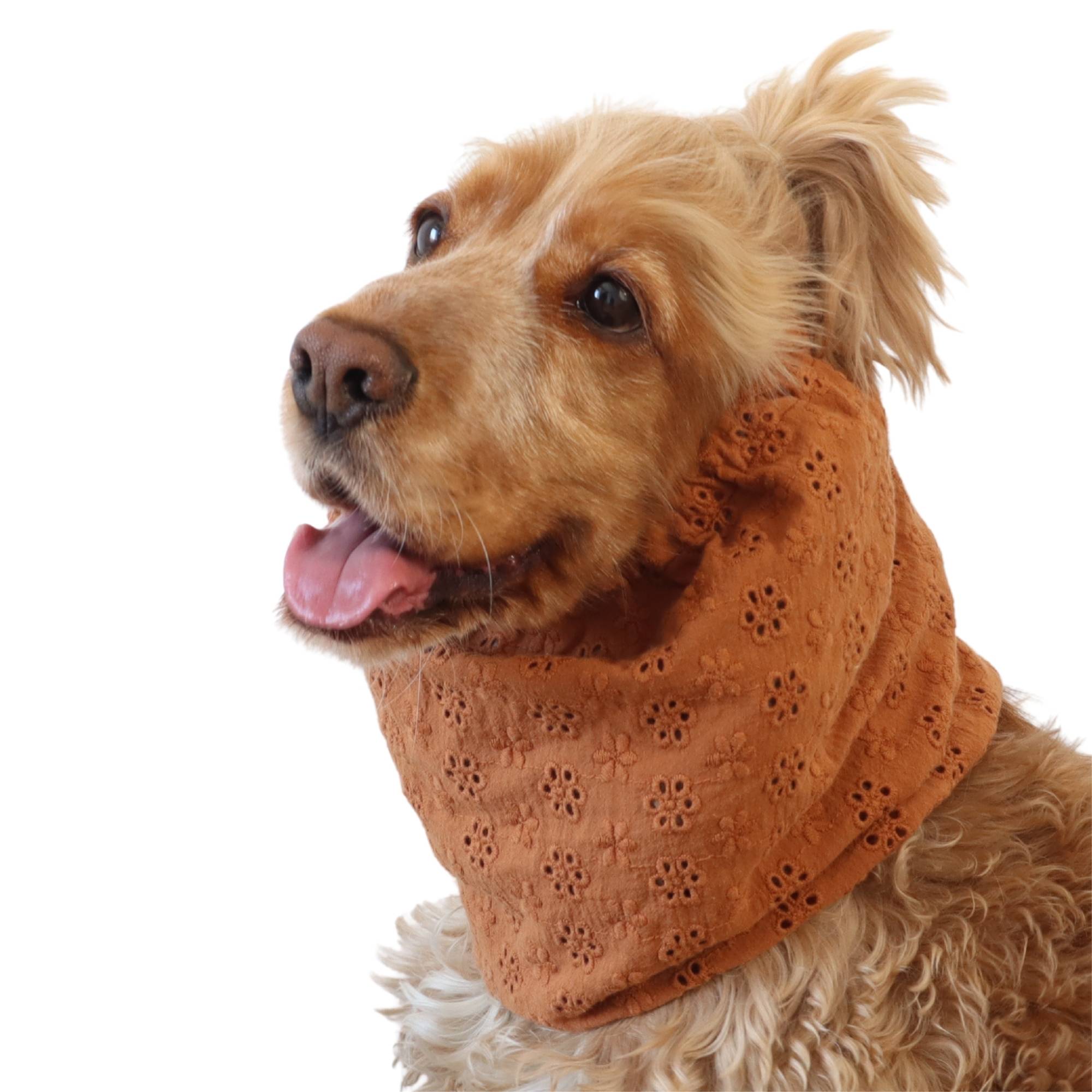 Lightweight floral feeding snood in copper muslin worn by a Cocker Spaniel