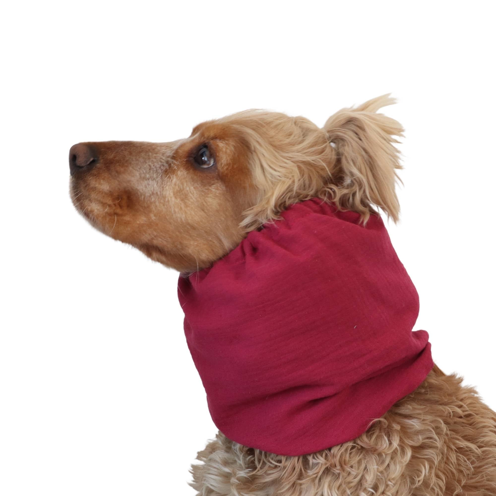 Raspberry pink muslin snood for Spaniel, Cavalier, Poodle and other long eared dogs