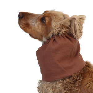 Toffee muslin snood for Spaniel, Cavalier, Poodle and other long eared dogs