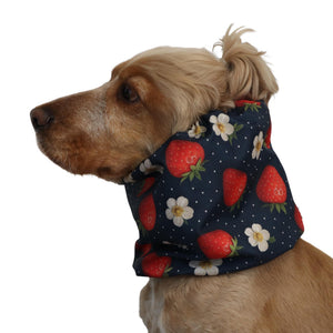 Waterproof dog snood with a strawberry and white flower print on a dark navy background, worn by a dog as an ear cover for long-eared breeds.