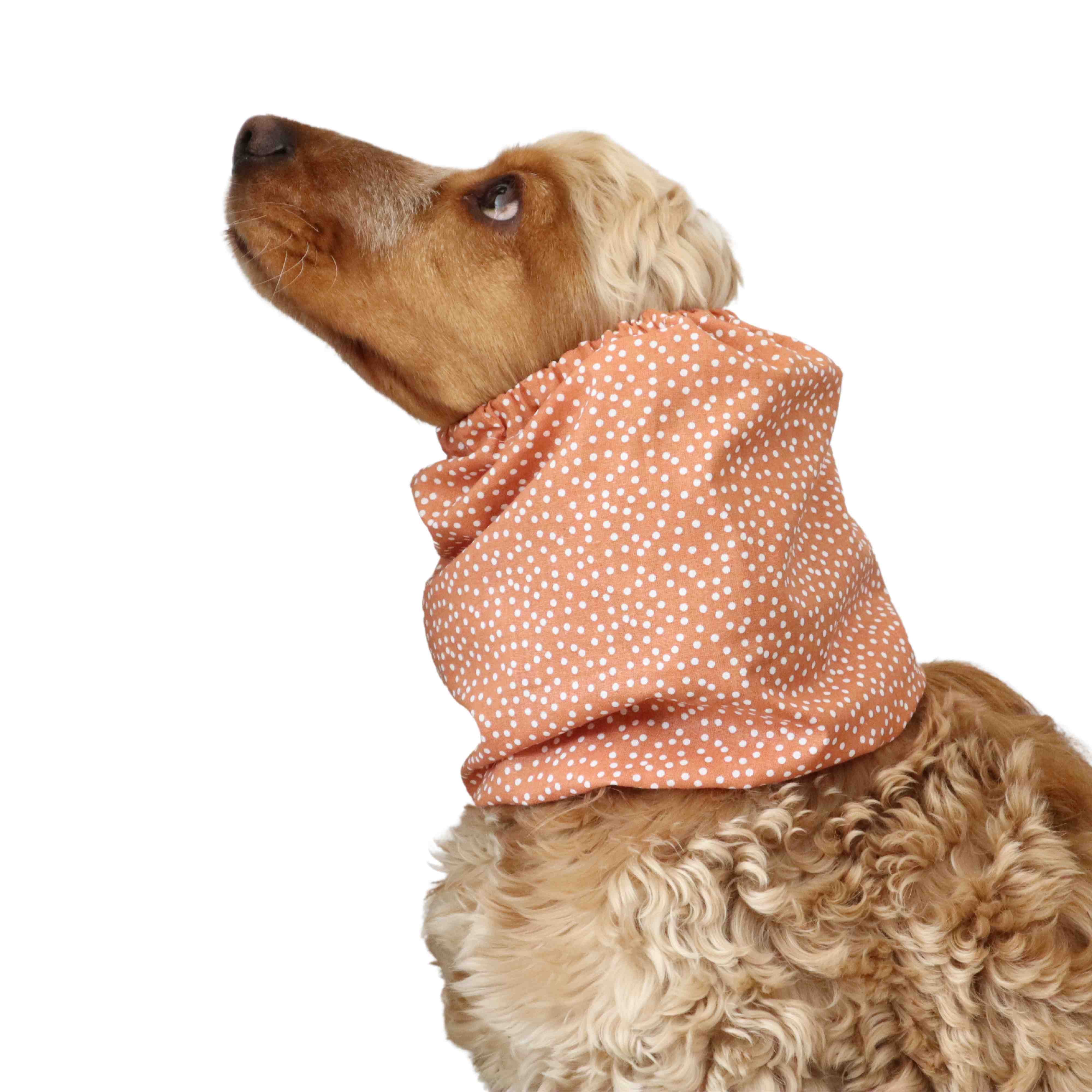 new fashioned dog snood copper dots Distinguish me