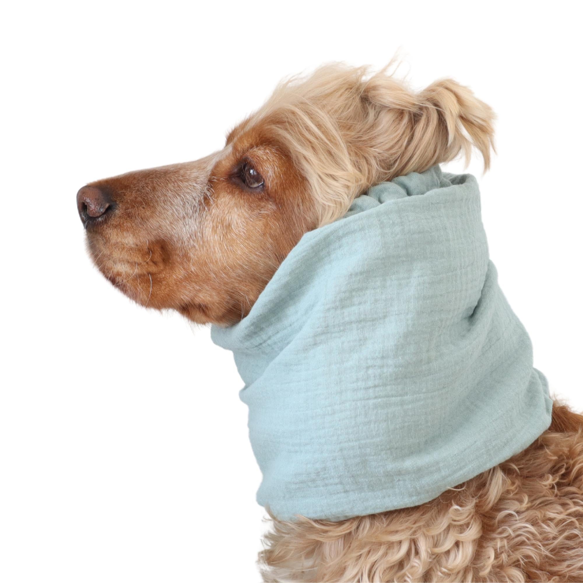 Long eared dog wearing a handmade Soft Mint snood by Distinguish Me