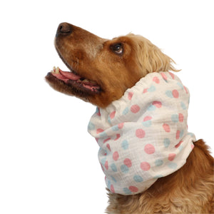 Cocker wearing pastel polka dot dog snood made from cotton muslin – Pastel Party design by Distinguish Me
