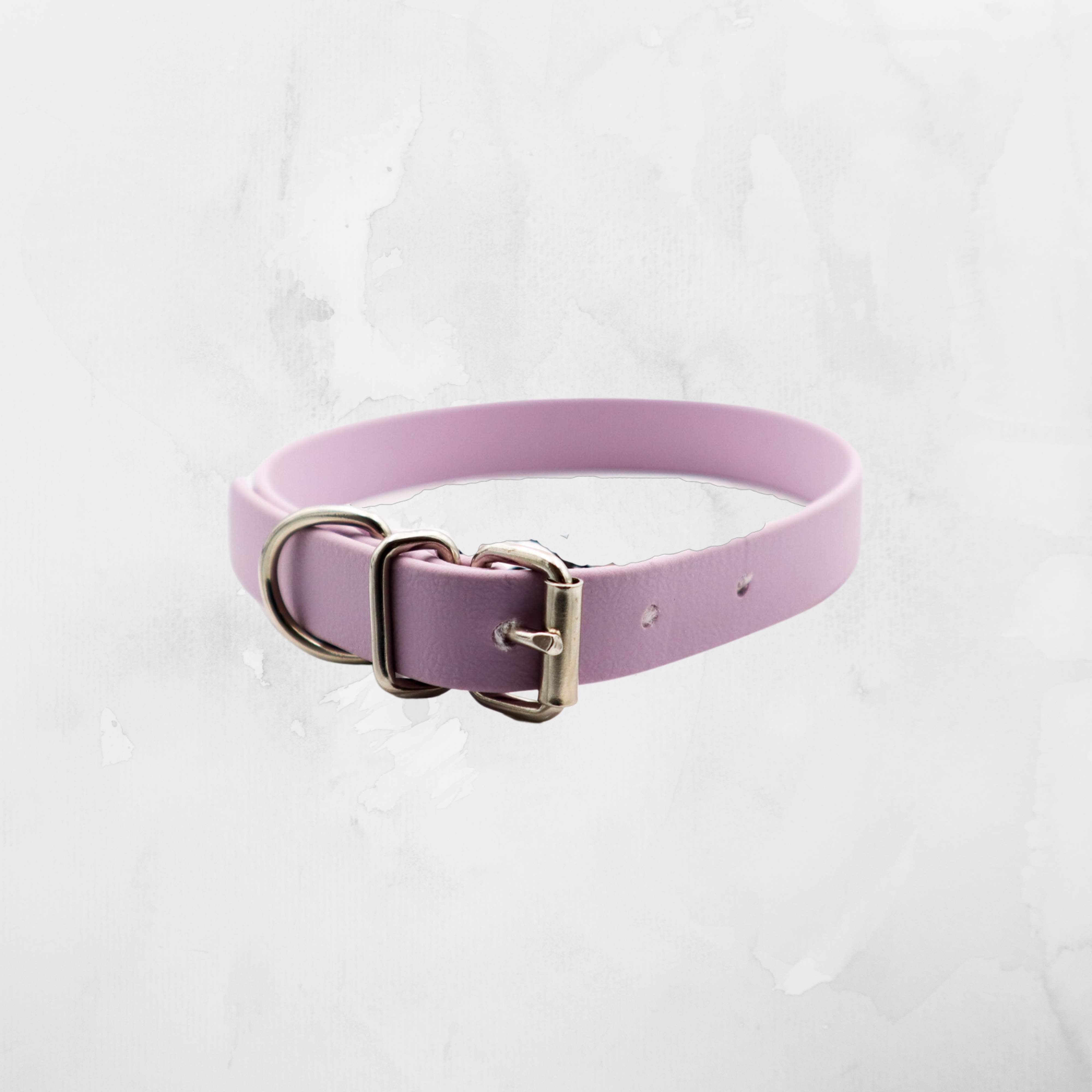 pastel purple biothane dog collar showcasing its silver double buckle detail, against a white textured background Distinguish me