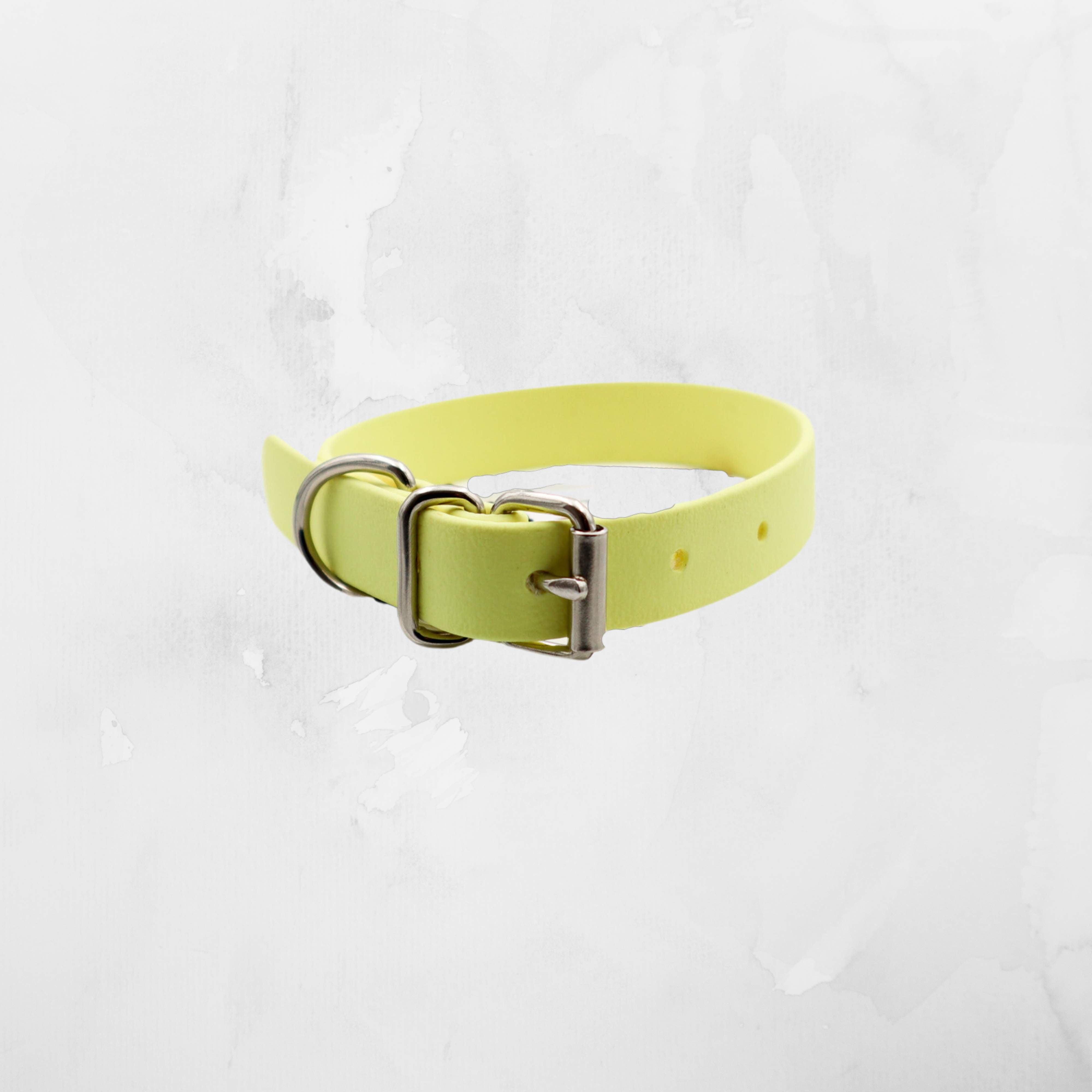 Bright yellow handmade dog collar with silver buckle on a white textured background Distinguish Me